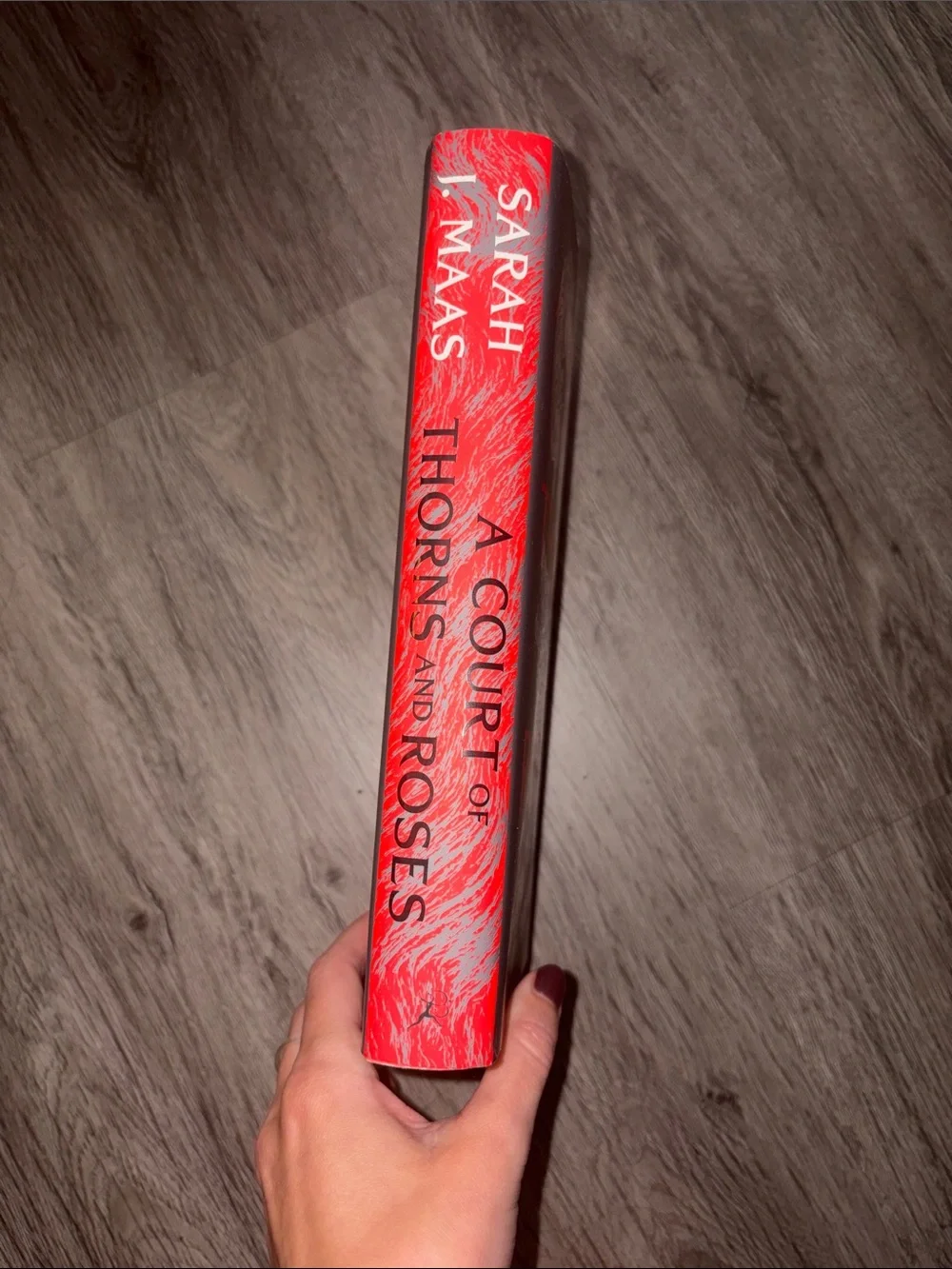 A Court of Thorns and Roses by Sarah J Maas Hardcover